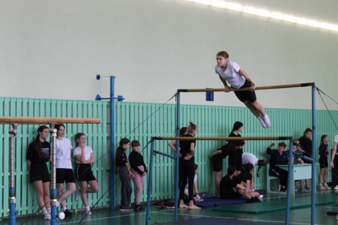 Районные соревнования по спортивной гимнастике.